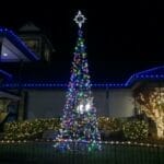 25' LED Tree of Lights