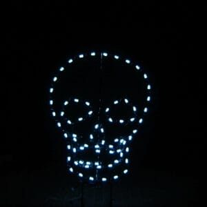4' Skull Halloween Light Display