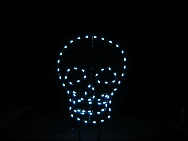 4' Skull Halloween Light Display
