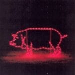 3' Pig Holiday Light Display