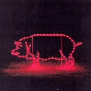 3' Pig Holiday Light Display