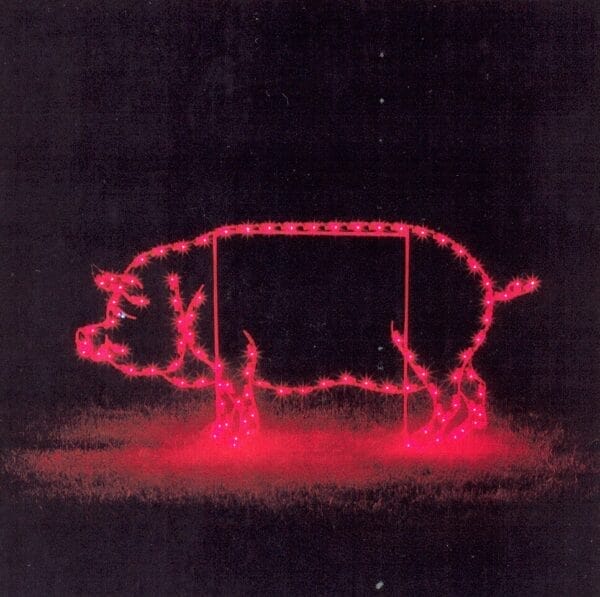 3' Pig Holiday Light Display