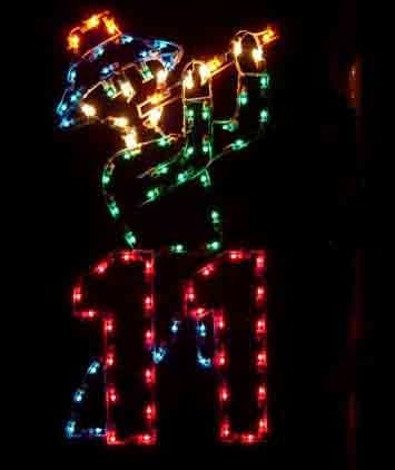 5' Twelve Days Of Christmas - Day 11 Holiday Light Display