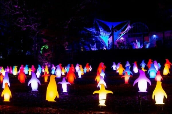 5' Penguin RGB Holiday Light Display