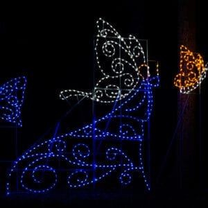 Butterfly Princess Holiday Light Display