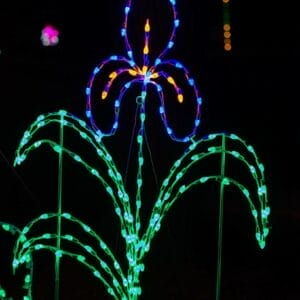 6' Iris Holiday Light Display