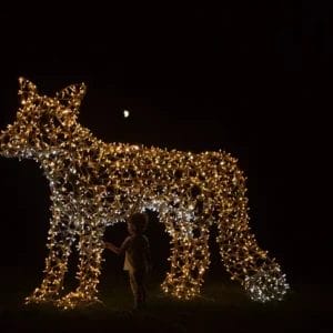 Commercial Christmas Decor