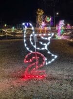 8' Twelve Days of Christmas - Day 2 Holiday Light Display