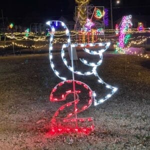 8' Twelve Days of Christmas - Day 2 Holiday Light Display