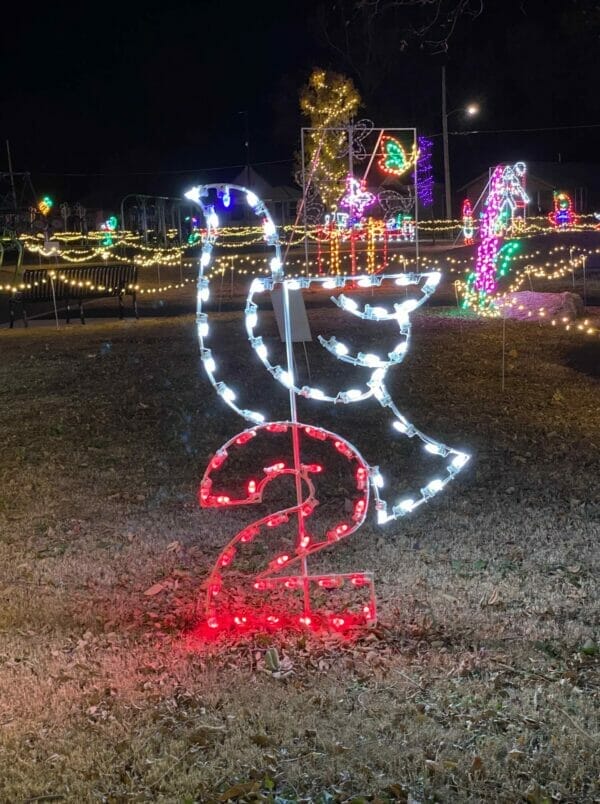 8' Twelve Days of Christmas - Day 2 Holiday Light Display