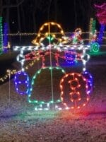 Creative Displays 12 Days of Christmas Day 8 Holiday Light Display