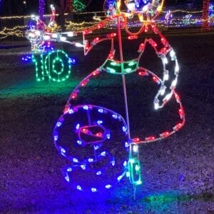 Creative Displays 12 Days of Christmas Day 9 Holiday Light Display