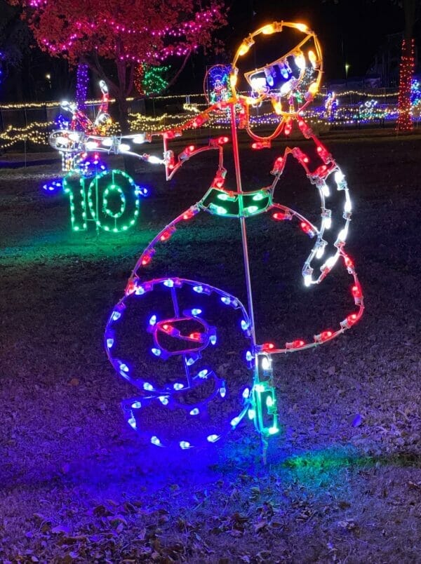 Creative Displays 12 Days of Christmas Day 9 Holiday Light Display