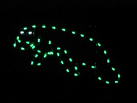 3.5' Manatee Holiday Light Display