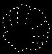 4' Seashell Holiday Light Display