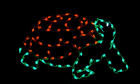 5' Turtle Holiday Light Display