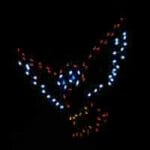 4' Owl Halloween Light Display