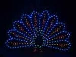 5' Peacock Holiday Light Display