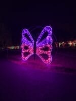CREATIVE DISPLAYS MESH BUTTERFLY LIGHT DISPLAY