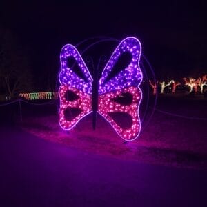 CREATIVE DISPLAYS MESH BUTTERFLY LIGHT DISPLAY
