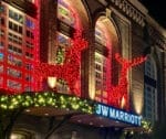 CREATIVE DISPLAYS 10 FOOT RED GRAPEVINE DEER DIMENSIONAL LIGHT DISPLAY