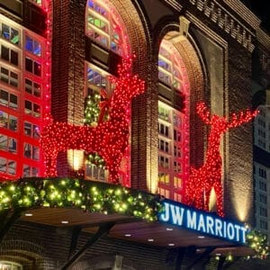 CREATIVE DISPLAYS 10 FOOT RED GRAPEVINE DEER DIMENSIONAL LIGHT DISPLAY