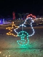 8' Twelve Days Of Christmas - Day 3 Holiday Light Display