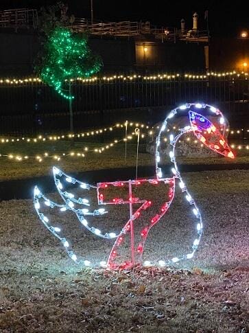 8' Twelve Days Of Christmas - Day 7 Holiday Light Display