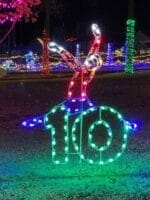 8' Twelve Days Of Christmas - Day 10 Holiday Light Display