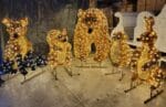 Critters Holiday Lighting Display