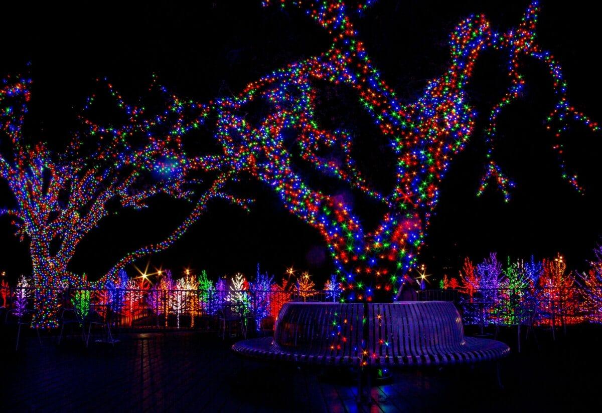 Commercial Grade Christmas Lights