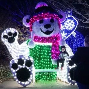 Commercial Christmas Decor